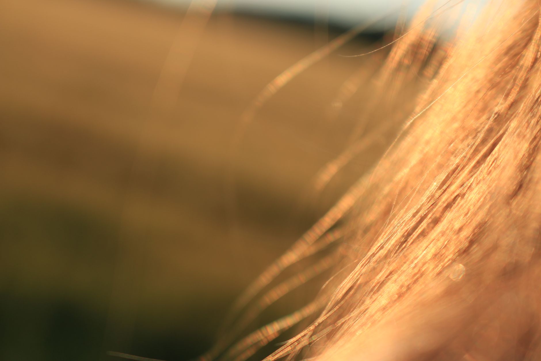 Why Does Hair Lose Its Shine over Time? Causes and Recovery